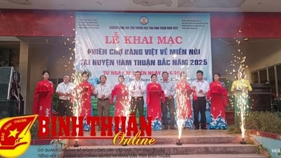 Đưa hàng Việt về miền núi huyện Hàm Thuận Bắc