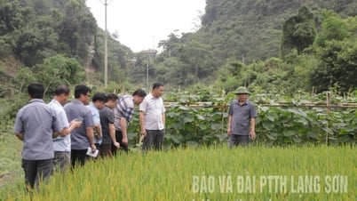 Inspecting disaster prevention and control preparations in Van Quan district