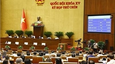 Fase 1, 9.ª Sesión, 15.ª Asamblea Nacional: Momentos destacados de importancia histórica