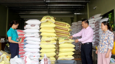 Duy trì mô hình tổ chức và phương thức quản lý tín dụng chính sách đặc thù của Ngân hàng Chính sách xã hội