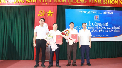 คณะกรรมการบริหาร Petrolimex ประกาศการตัดสินใจเกี่ยวกับงานบุคลากรของ Petrolimex Ha Son Binh