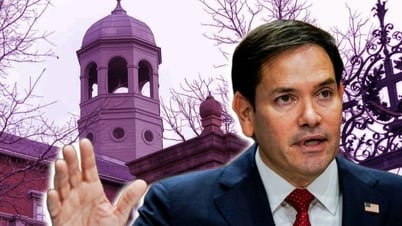 США просят посольства «усилить проверку» виз, связанных с Гарвардом