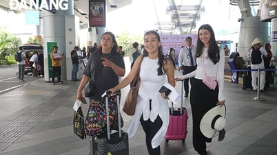 Apalancamiento para promover el turismo en Da Nang