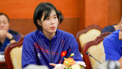 Bóng chuyền Việt Nam chốt danh sách dự AVC Nations Cup: Thanh Thúy, Bích Tuyền quyết đấu