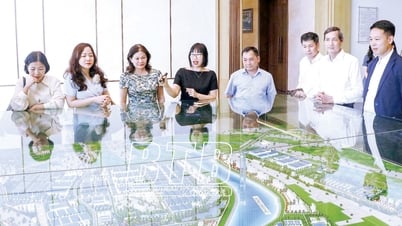 Thai Binh - Hung Yen Enterprises: Pioniere bei der Schaffung neuer regionaler Stärke