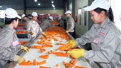 Proactively implement measures to ensure production, processing, consumption and export of agricultural products.