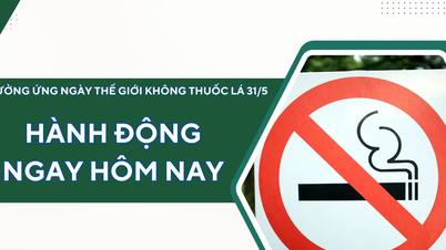 Hành động ngay hôm nay