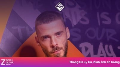 Де Хеа подтверждает будущее