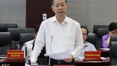 Đà Nẵng sớm tham mưu Chính phủ trình Quốc hội nghị quyết về trung tâm tài chính quốc tế