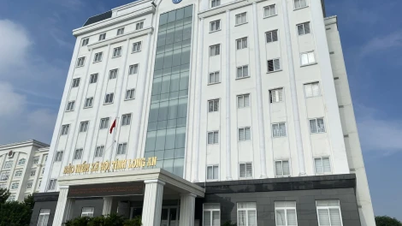 From June 1, 2025: Social Insurance Region XXIX (Tay Ninh - Long An) starts operating