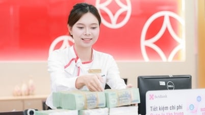 SeaABank официально увеличил свой уставный капитал до 28 450 млрд донгов