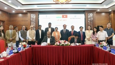 Hội nghị "Gặp gỡ Ấn Độ năm 2025"