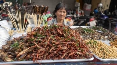 សត្វល្អិត៖ ពីអាហារជនបទដល់តុ Michelin-Starred ក្នុងប្រទេសថៃ