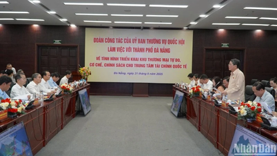 Đà Nẵng đề xuất cơ chế, chính sách liên quan đến xây dựng Trung tâm tài chính và Khu thương mại tự do