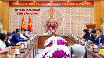 Le Premier ministre Pham Minh Chinh préside une discussion avec des entreprises sur le développement économique privé.