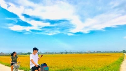 Hoi An in top 5 ideal destinations to explore by bicycle in Asia