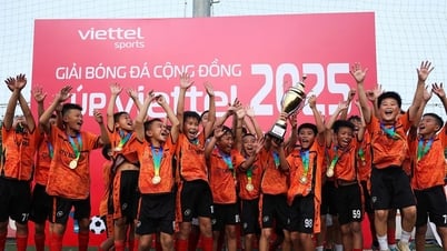 Cúp Viettel 2025 tìm ra các nhà vô địch