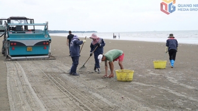 Mong Cai s'efforce de protéger l'environnement marin et insulaire