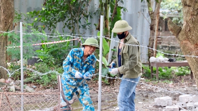Thanh Miện cưỡng chế tháo dỡ công trình vi phạm hành lang an toàn giao thông