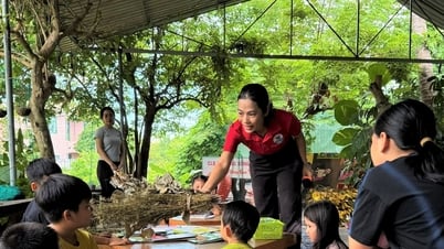 Học hè giữa thiên nhiên