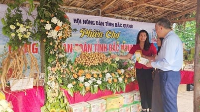 박장성 농민회, '박닌성 안전 농산물 시장' 참여