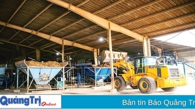 Ứng dụng khoa học và công nghệ chìa khóa của sự thành công