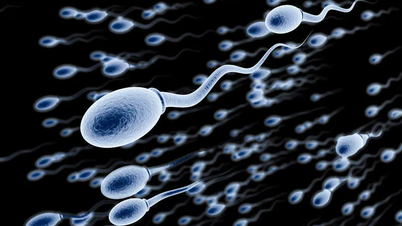 Bê bối người hiến tinh trùng mang gene gây ung thư làm cha của 52 trẻ em tại Bỉ