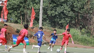 U11 Dak Nong Newspaper Cup Final: Dak R'lap vs Gia Nghia