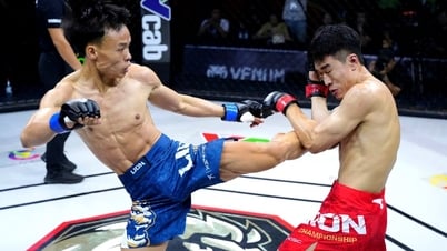 베트남 MMA 연맹 대회, 새 지도부 선출