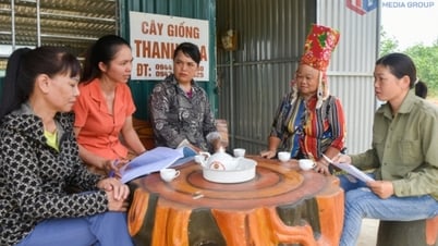  Phát huy vai trò “cầu nối” tín dụng chính sách