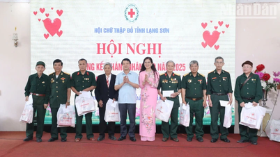 หลังซอน: จับมือกันบรรเทาความเจ็บปวดจากสารพิษสีส้ม