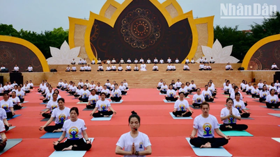 Lang Son រៀបចំទិវា Yoga អន្តរជាតិ