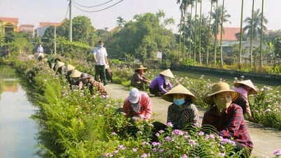 Xây dựng NTM: Thành quả từ sự nỗ lực