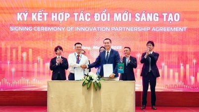 VPBank SME coopera con el Centro de Apoyo a la Innovación y Startups de Danang para promover las startups