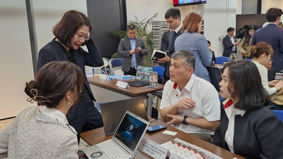 Conectando empresas vietnamitas y japonesas