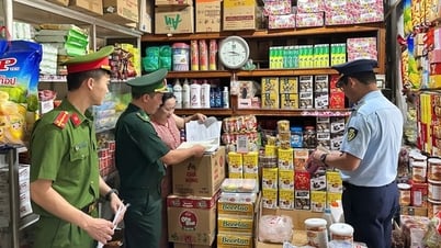 Binh Dinh refuerza las medidas contra el contrabando, el fraude comercial y las mercancías falsificadas