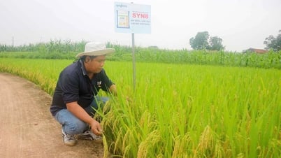 ศัตรูพืชและโรคพืชได้รับการควบคุมอย่างทันท่วงที