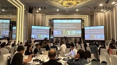 Le Vietnam et la Norvège promeuvent leur coopération dans la transition vers une énergie propre