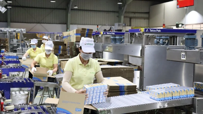 Khơi thông nguồn lực thúc đẩy kinh tế tư nhân khu vực Nam Trung Bộ