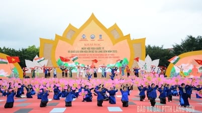 Khai mạc Ngày hội Yoga: Kết nối văn hóa, tăng cường hữu nghị