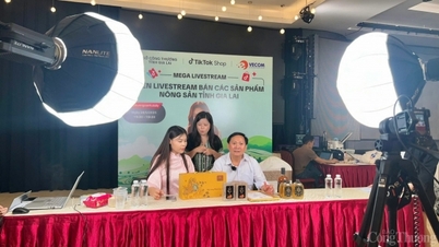 เจียลาย 'สะพาน' สู่การเปลี่ยนผ่านสู่ระบบดิจิทัลสำหรับผลิตภัณฑ์ทางการเกษตรบนภูเขาให้เข้าถึงได้มากขึ้น
