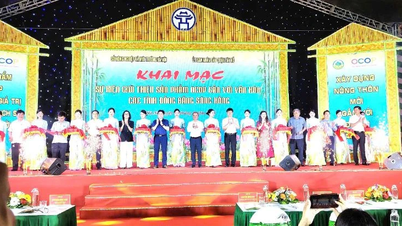 Giới thiệu sản phẩm OCOP gắn với văn hóa Đồng bằng sông Hồng