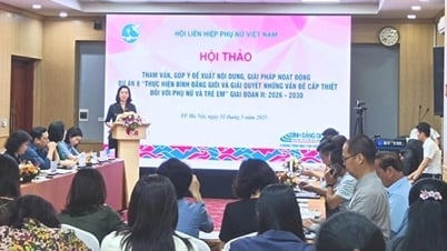 Đề xuất giải pháp thực hiện bình đẳng giới vùng dân tộc thiểu số giai đoạn 2026-2030