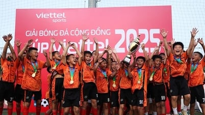Hơn 400 cầu thủ nhí tranh tài tại Cúp Viettel 2025