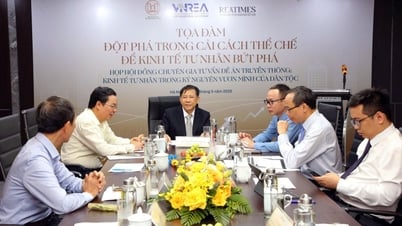 Institutional breakthrough: Paving the way for private economy to break through