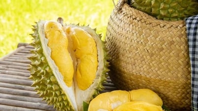 Prix ​​du durian aujourd'hui 31 mai : Stable dans les régions...
