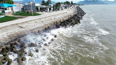 Sturmsaison 2025: 11-13 Stürme und tropische Tiefdruckgebiete im Ostmeer wahrscheinlich