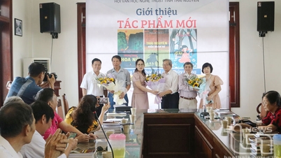 50 ឆ្នាំ - រដូវកាលនៃអក្សរសិល្ប៍ចម្រុះពណ៌