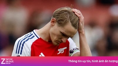 អ្នកគាំទ្រទាមទារដក Odegaard ពីប្រធានក្រុម