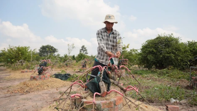 Einzigartiger Bonsai-Garten im Herzen der Stadt Tay Ninh